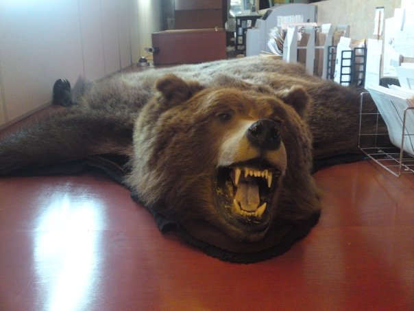 5290_1211629135914_3226548_n