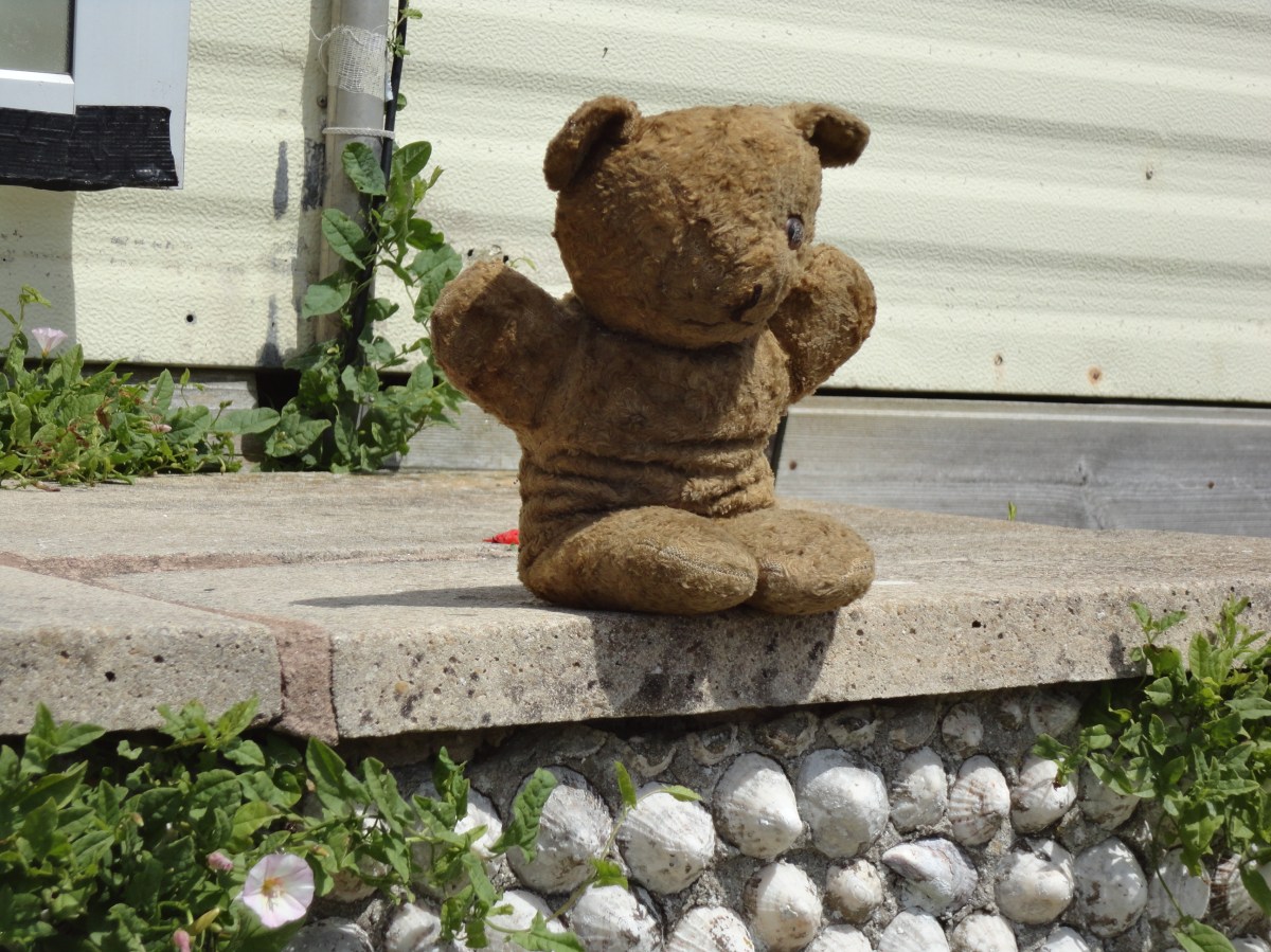 The Bear Nobody Loved – Chapter&nbsp;2