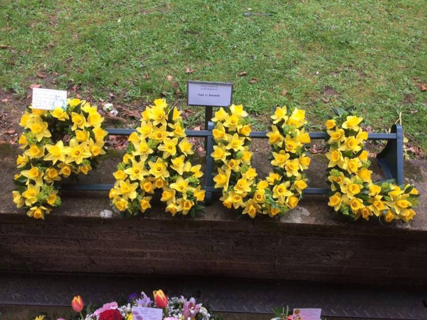 17309332_10155421733217784_1751920067008213582_n