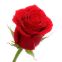 depositphotos_6426330-stock-photo-red-rose-bud
