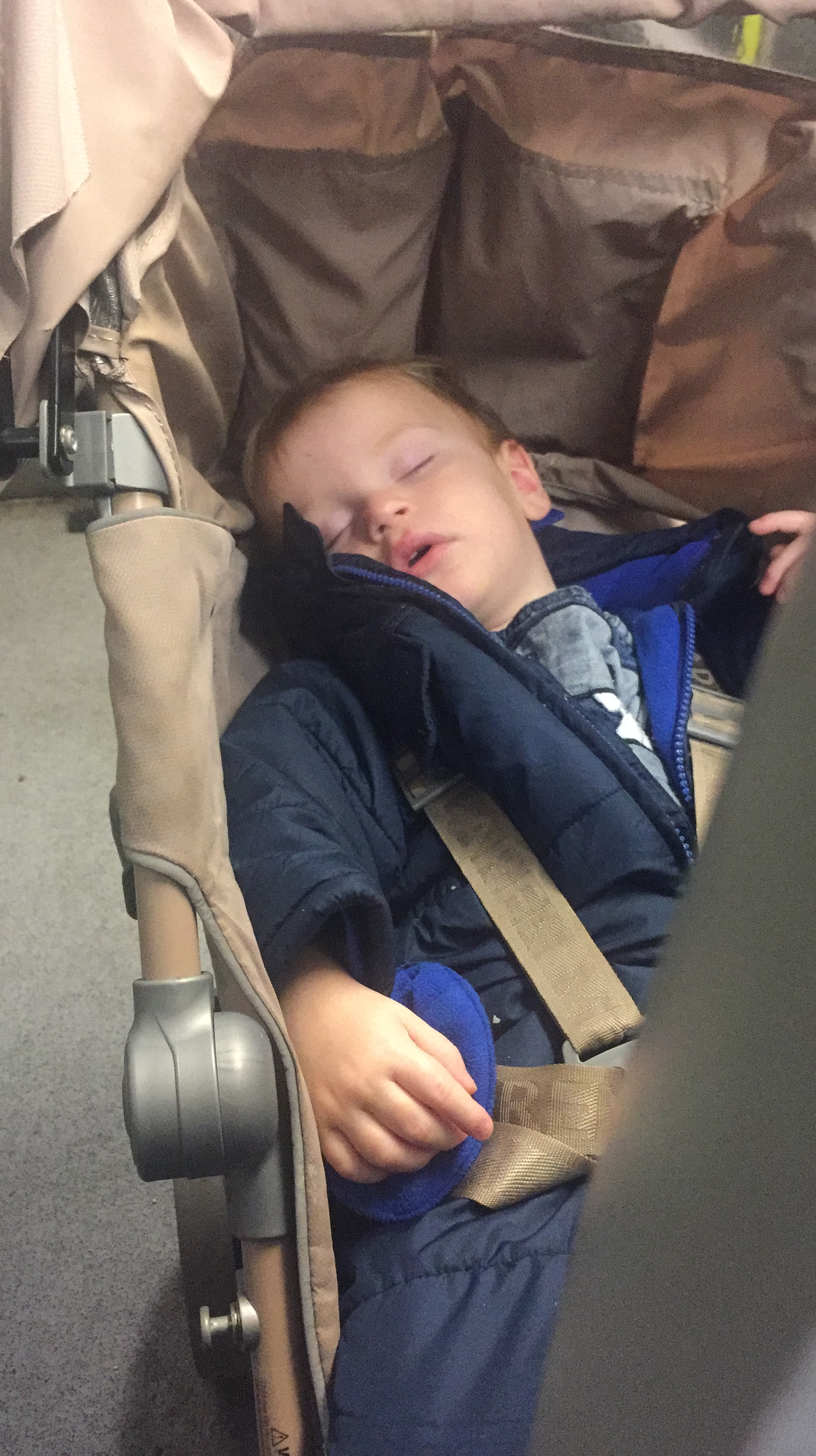 805CE70C-40F5-4F64-AFCF-76F52F951D12